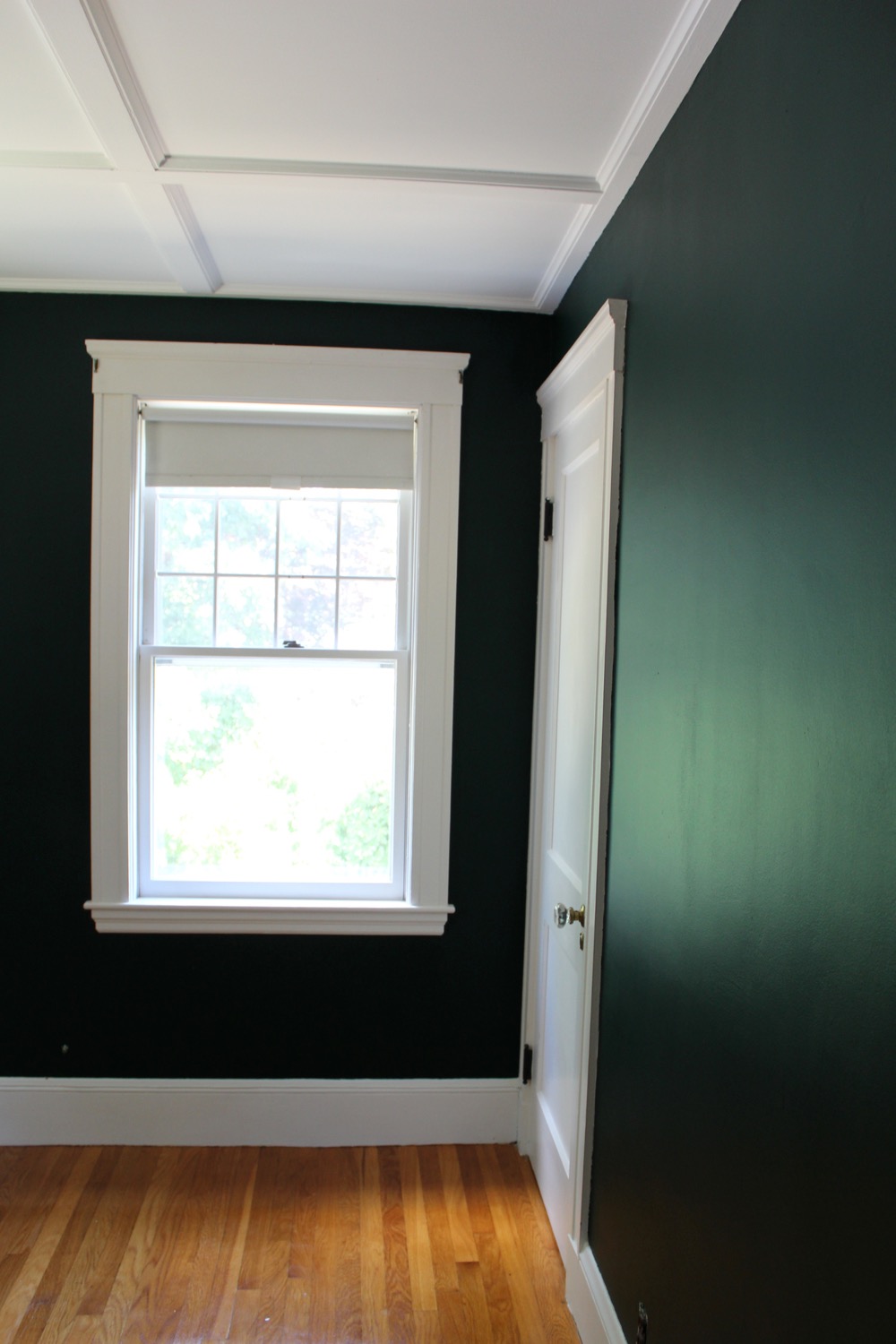 Image of Scholar Green for the Office.