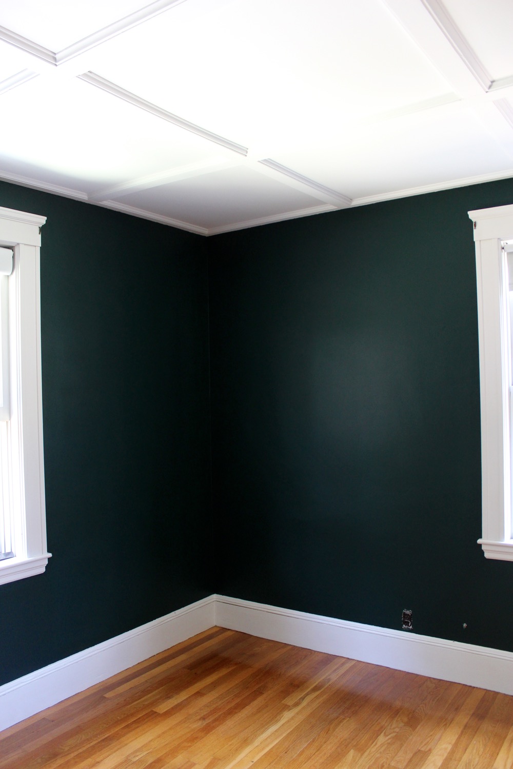Image of Scholar Green for the Office.