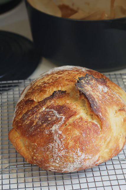 Image of No-Knead Bread.