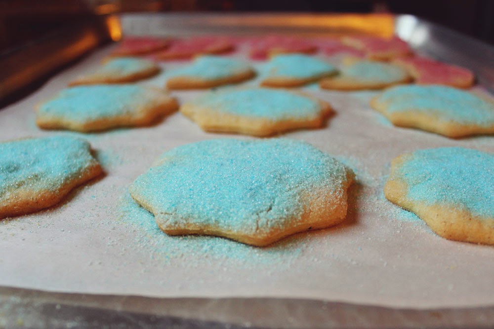 Image of Vanilla Sugar Cookies.